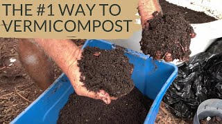 I Wish I Knew This Vermicomposting Method When I Started [upl. by Anairt249]