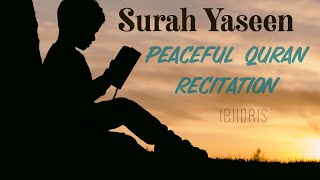 Quran recitation for sleep  Surah Yaseen  with English translations [upl. by Abla322]