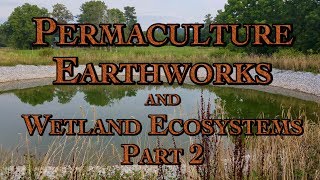 Permaculture Earthworks and Wetland Ecosystems Part 2 [upl. by Abraham401]