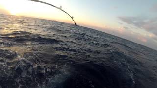 Deep dropping in Fort Lauderdale with wwwFISHLAUDERDALEcom [upl. by Eicyak]