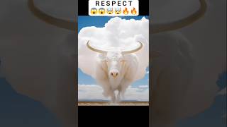 Respect 🤯🥶🔥 shorts respect respectshorts respectvideo viral [upl. by Merrile]