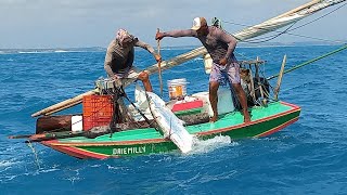 Guerreiros Do MarPESCARIA A 27 KM DA COSTA NUMA PEQUENA JANGADA PESCAMOS BASTANTE PEIXE [upl. by Buford]