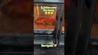 puerco barrigada pig deliciosos sabroso colesterolsaludable sigueme [upl. by Alyel978]