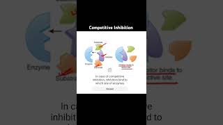 Competitive inhibition biology science neet education enzymes apbiology [upl. by Assirok64]