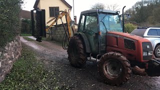 Massey Ferguson Hedge Trimming [upl. by Hut]