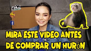 Mira este Video antes de comprar un Huron [upl. by Eetnwahs161]