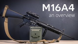 M16A4 Overview  A Clone of a Very Popular Rifle [upl. by Enelrak797]