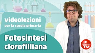 Videolezioni la Fotosintesi clorofilliana  Renato lo scienziato Renatoloscienziato [upl. by Eirallam]