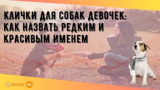 Клички для собак девочек как назвать редким и красивым именем [upl. by Tonye]