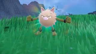 Quest to Living Shiny Dex  577 Primeape 578 Annihilape [upl. by Maram]