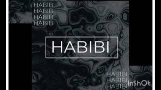 Habibi song lyrics Slowed Reverb song [upl. by Berns]