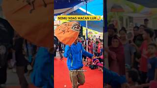 NDAS MACAN UCOL 😅 Bantengan Macan Gelut Lucu banget bantengan barongan lucu videolucu ngakak [upl. by Weibel]