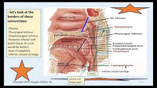 Pharyngeal and Esophageal Anatomy  Some Related PathologyGERD [upl. by Yesnil462]