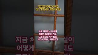 길밖에서 살아 갈수도 없는 성격을 가진 고양이들ㅠ방사 불가고민해결방법 고양이 구조 [upl. by Ydde]