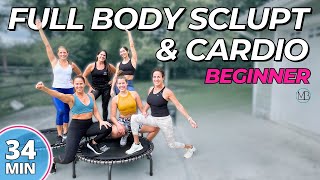 30 MIN Rebounding Full Body Sculpt  CARDIO  Beginner Trampoline Challenge  DAY 14 [upl. by Illene]