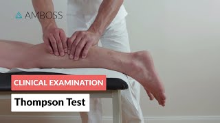 Thompson Test  Clinical Examination [upl. by Amadeus]