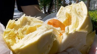 Durian Fruit Season Monthong  Thai Street Food [upl. by Geehan941]