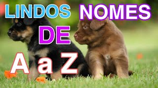 NOMES PARA CACHORROS DE A a Z [upl. by Nickles]