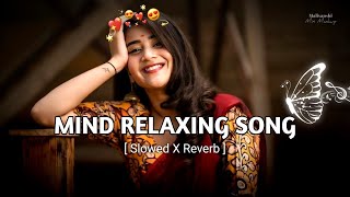 💕Mind Relaxing Songs 2024  Mind Relax Lofi Mashup 2024  Mind Relaxing Music  Malivanshi0004 [upl. by Apoor53]