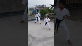 Paiku kata karate🥋trending india viral karate karatekata karatekid [upl. by Amoreta965]