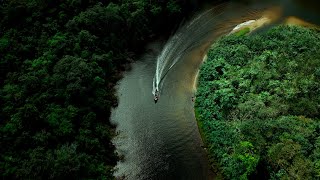 Conservação ambiental já faz parte de nossa vida [upl. by Ramin987]