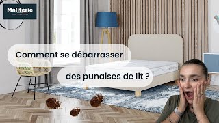 Comment se débarrasser des punaises de lit [upl. by Filipe113]