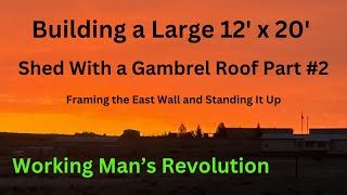 Building a Large Shed with Gambrel Roof Part 2 Framing the East Wall and Standing it up [upl. by Ekul]