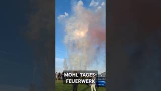 TagesFeuerwerk fireworks feuerwerk experiment vuurwerk silvester bigboom explosion shorts [upl. by Reichel234]