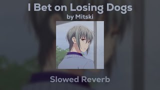 Mitski  I Bet on Losing Dogs SlowedReverb [upl. by Hesper986]