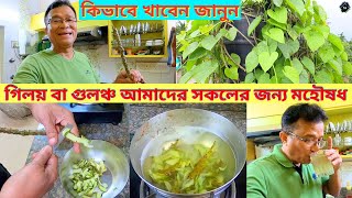 গিলয় বা গুলঞ্চ আমাদের সকলের জন্য মহৌষধ।Amazing Health Benefits Of Giloy or Gulancha  My Experience [upl. by Amej850]