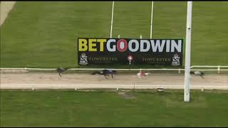 BUBBLY BREEZER Gets His First Win In The TOWCESTER MAIDEN DIV 1 Race In Trap 3 At Towcester [upl. by Borman]