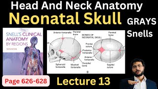 Neonatal Skull  Fontanelle  Head and Neck Anatomy  headandneckanatomy [upl. by Kimon]