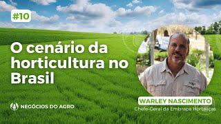 O cenário da horticultura no Brasil com Warley Nascimento [upl. by Alleuqcaj]