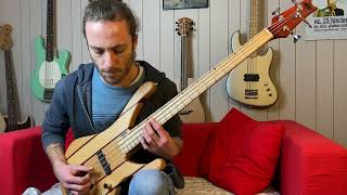 Tv Show 14  The Last Of Us  Solo Bass Cover free tabs [upl. by Belsky]