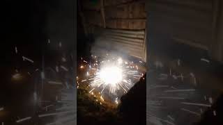 Diwali Tara Bomb ExperimentShort [upl. by Alisun240]