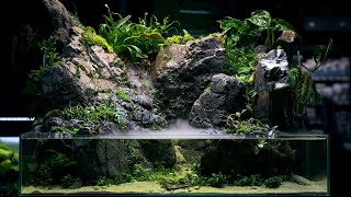 PALUDARIUM Rainforest Experience  REAL WATERFALL and Monumental Hardscape [upl. by Analle]