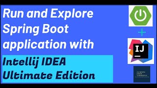 Run and Explore Spring Boot in IntelliJ IDEA Ultimate Edition  Using Run and Spring Tool Windows [upl. by Golda]