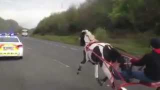 Knackers on the Cork Mallow Road [upl. by Mclaurin]