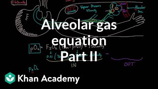 Alveolar gas equation  part 2  Respiratory system physiology  NCLEXRN  Khan Academy [upl. by Lenno1]