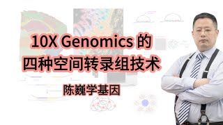 【陈巍学基因】视频127：10X Genomics 的 4 种空间转录组技术 [upl. by Suoirred644]