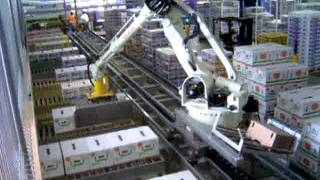 JMP ENGINEERING  Robotic Produce Palletizing with Robot on a Rail [upl. by Reeves498]