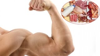 Quante proteine servono per mettere su muscolo [upl. by Ameehsat]