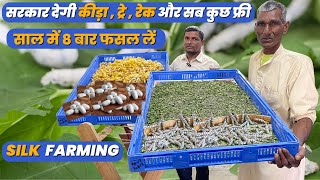 Silk Farming  Sericulture in India 🐛🐛 सुंडी से करें मालामाल खेती Resham ki kheti [upl. by Washburn]