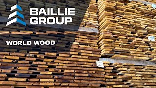 World Wood Lumber Yard Overview Video [upl. by Fabrianne681]