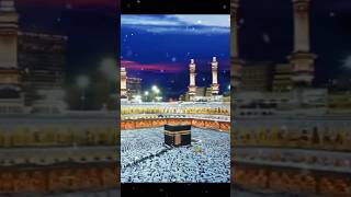 Sab Nabiyon Se Aala Mera Kali Kamli Wala  Qtv Full HD shorts naat ytshort islamic youtubeshort [upl. by Olli]