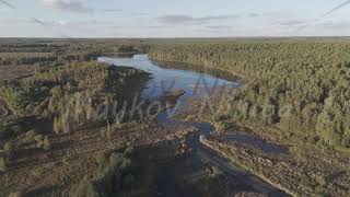 DLog M Ekaterinburg Russia Flight over a swampy pond Bush and pine forest Early autumn Eve [upl. by Nashner]