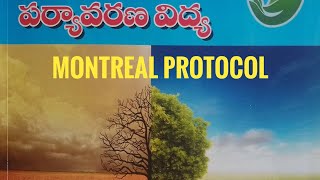 Montreal Protocol  Environmental Education [upl. by Yortal]