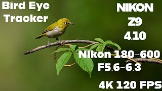 Nikon Z9 firmware update 410  Bird Eye Tracking  Combined with Nikon 180600mm Z mount Lens [upl. by Shawnee]