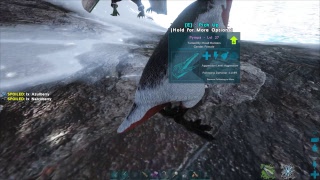 ARK Survival evolved Hesperornis golden eggs How to get them full explenation [upl. by Halonna196]