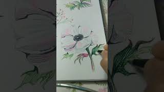 anemone sketching flowersketching [upl. by Dadelos]